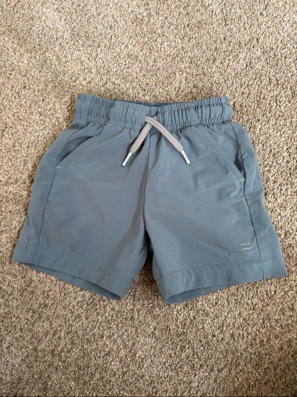 FREE FLY Blue Drawstring Active Shorts